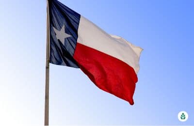 Why Are Texas Electric Rates So High? (2024 Guide)