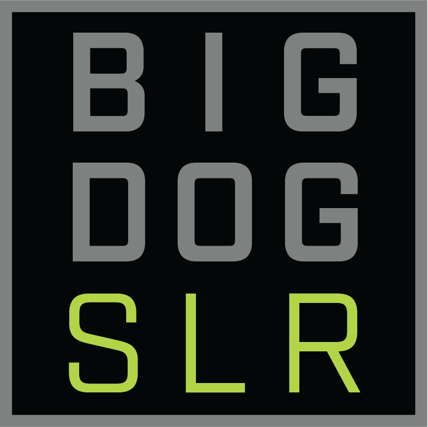 Big Dog Solar Energy Logo