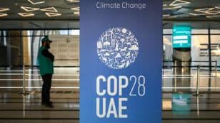 What’s at Stake at COP28