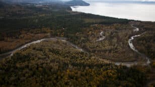 After Dam Removal, Washington State Tribe Fishes for Salmon on Elwha River for First Time in More Than a Century