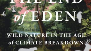 ‘It’s Got to Be a Fight’: Author Adam Welz on Surviving Climate Breakdown and Saving Species of a ‘Tarnished Eden’