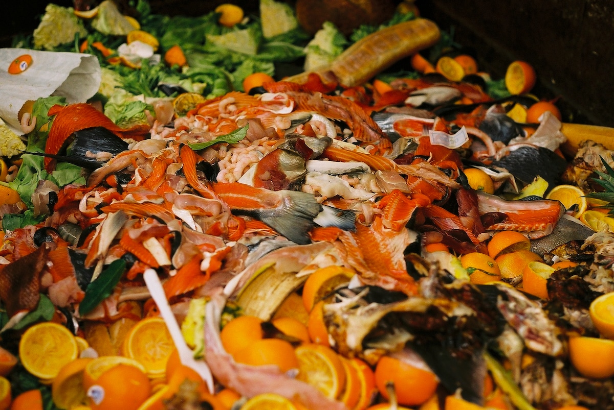 Food and food scraps in a supermarket dumpster in Granville Island, Vancouver, British Columbia