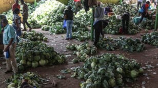 Installing Solar-Powered Fridges in Developing Countries Is an Effective Way to Reduce Hunger and Fight Climate Change