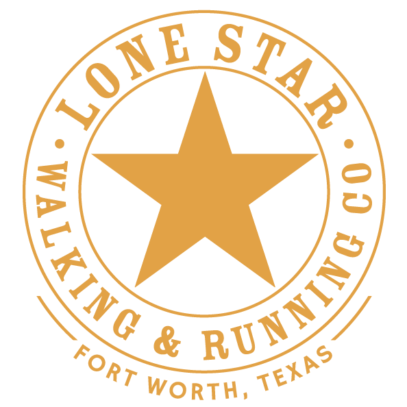 Lonestar Skypower Logo