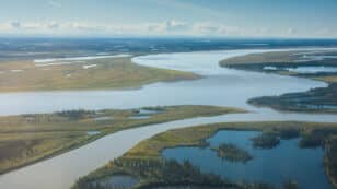 Arctic Waters Are Emitting More Carbon as They Warm, Study Finds