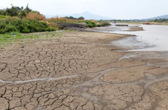 Mexico Braces for Its ‘Highest Temperatures Ever Recorded’