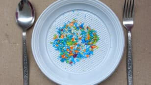 Ingested Microplastics Can Move From the Gut to the Brain and Other Organs, Study Finds