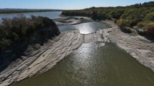 Mississippi River Nears Historic Lows, Putting Grain Exports at Risk