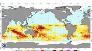 NOAA’s Coral Reef Watch Adds New Alerts Due to Record-Breaking Heat