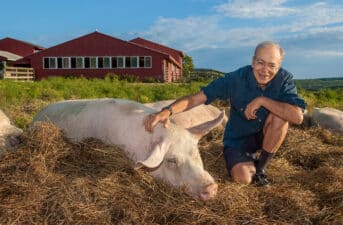 A Philosopher’s Guide to an Ethical Diet:  A Conversation With Peter Singer