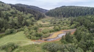 California’s Yurok Tribe Becomes First to Steward Land Alongside National Park Service