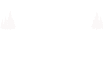 Small Town Solar Logo