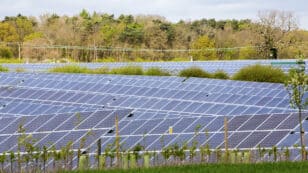 Well-Managed Solar Parks Could Boost Pollinators in UK, Study Says