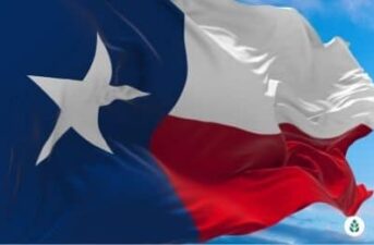 Texas Electricity Rates and Providers (May 2024)