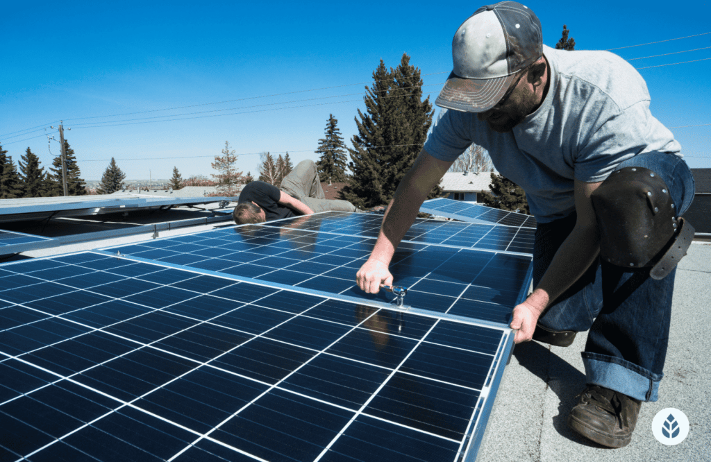 Sunrun Vs. Momentum Solar installers